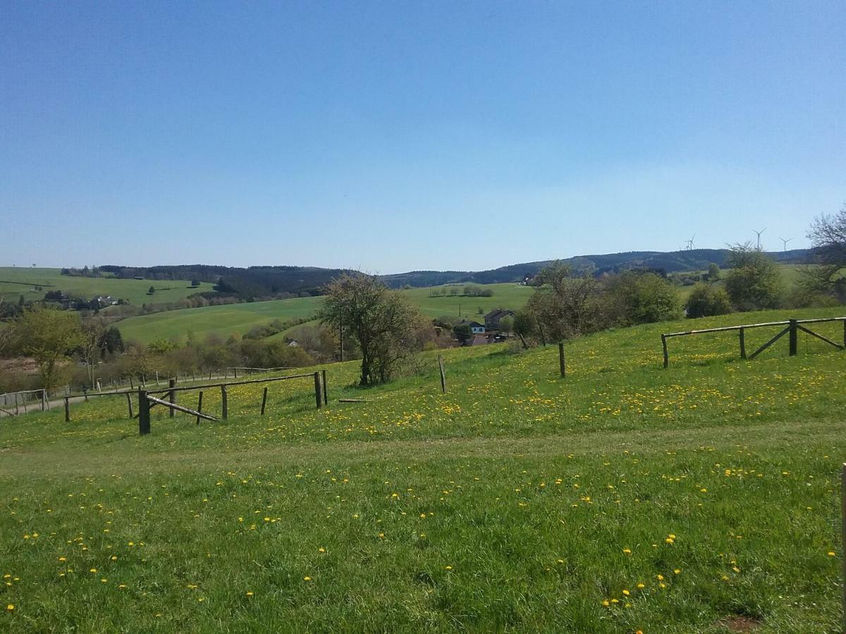 Zur Schonen Aussicht Appartement Hellenthal Buitenkant foto